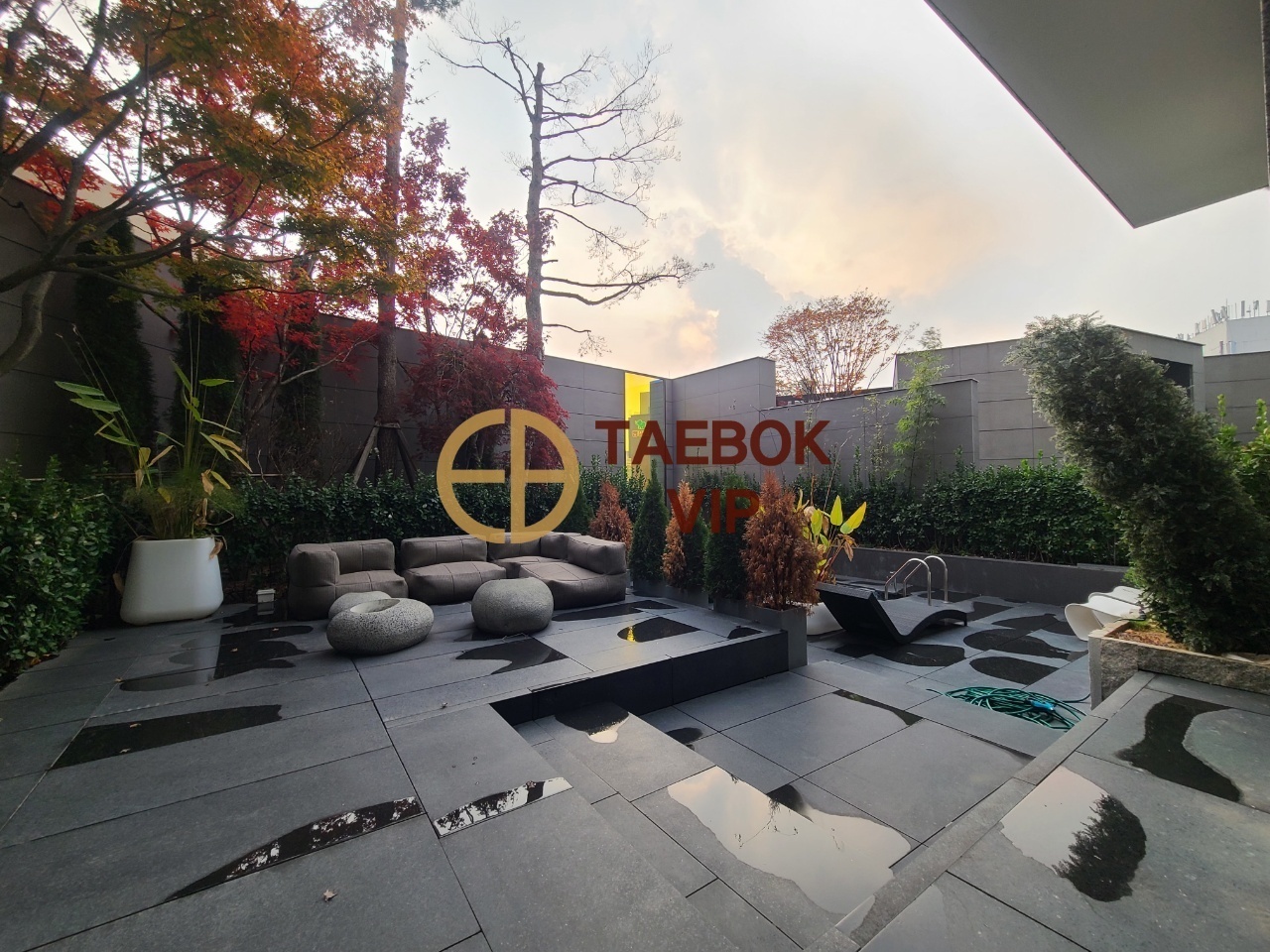 terrace&pool